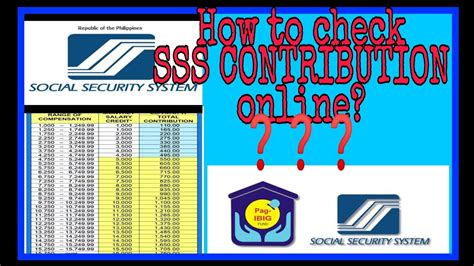 how to check sss contribution online